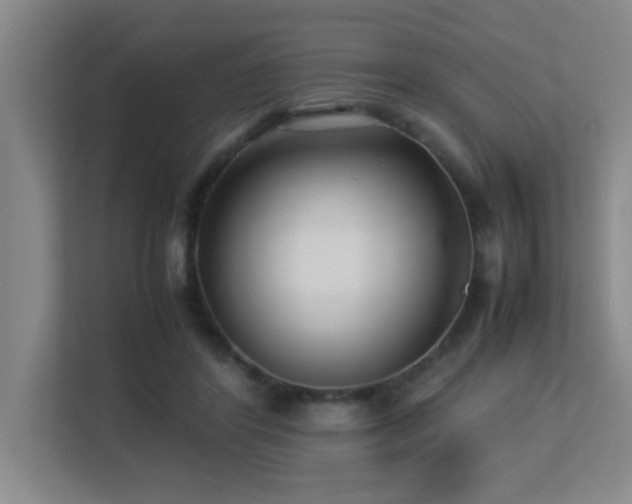 X0000113210404200909101136