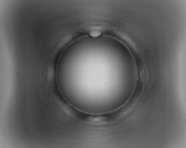 X0000113210407200909101136