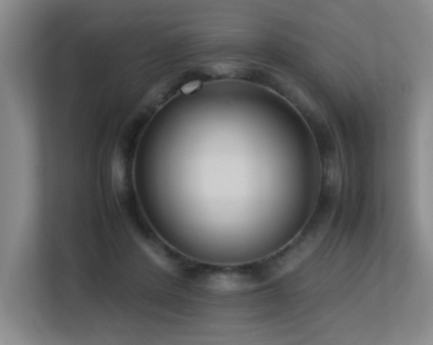 X0000113210408200909101136