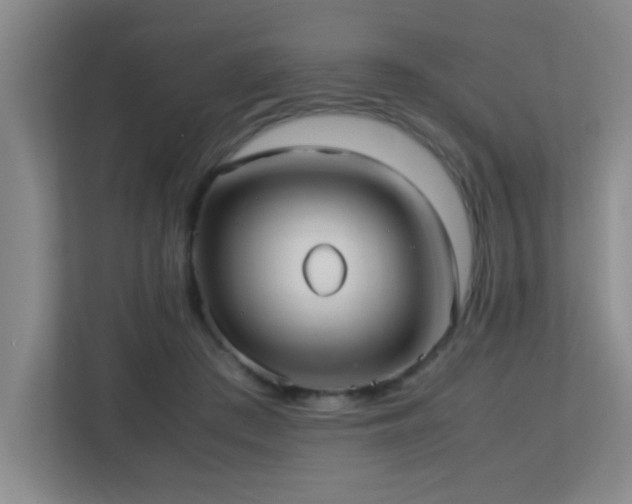 X0000113210409200909101136