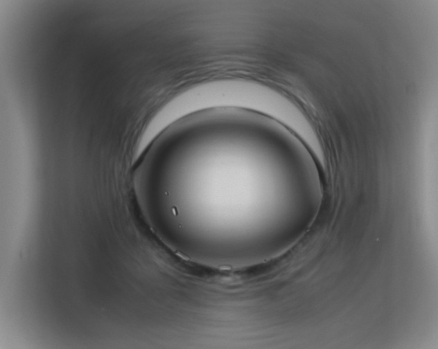 X0000113210411200909101136