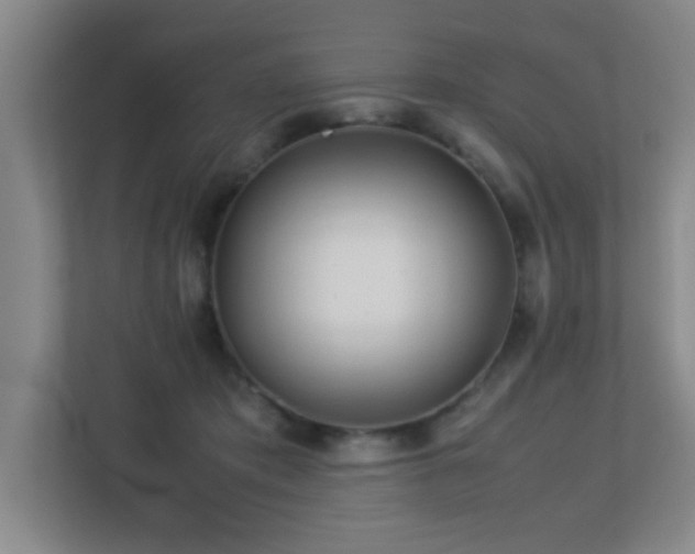 X0000113210413200909101136