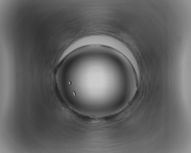 X0000113210415200909101136