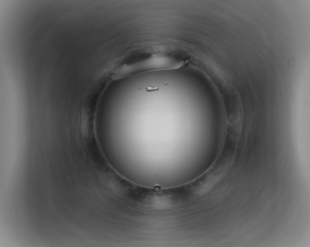 X0000113210416200909101136