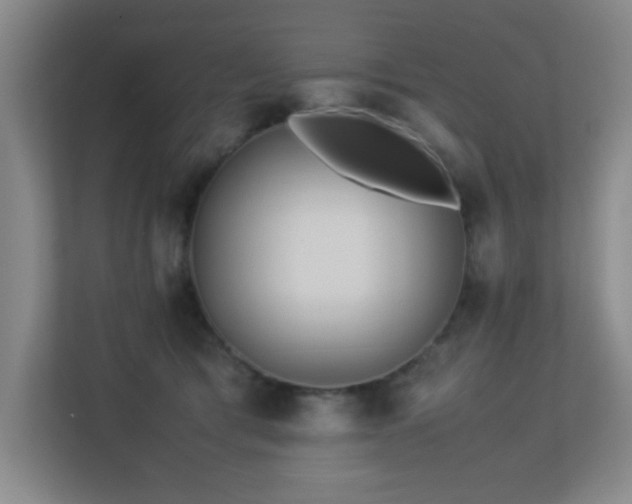 X0000113210417200909101136