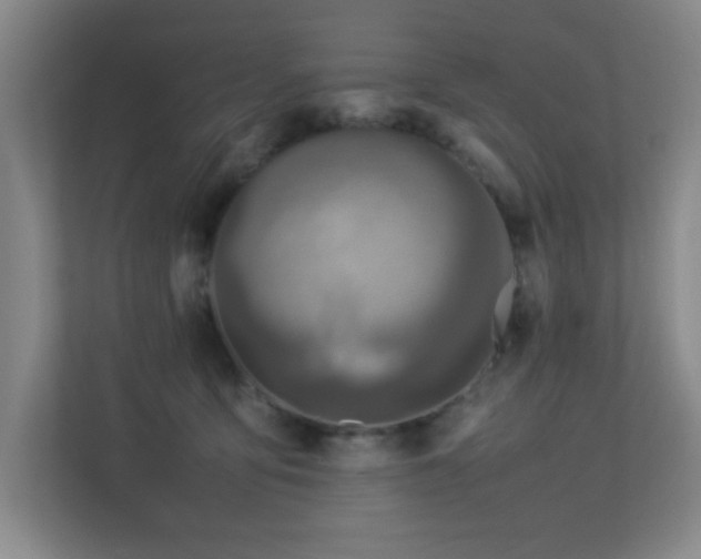 X0000113210419200909101136