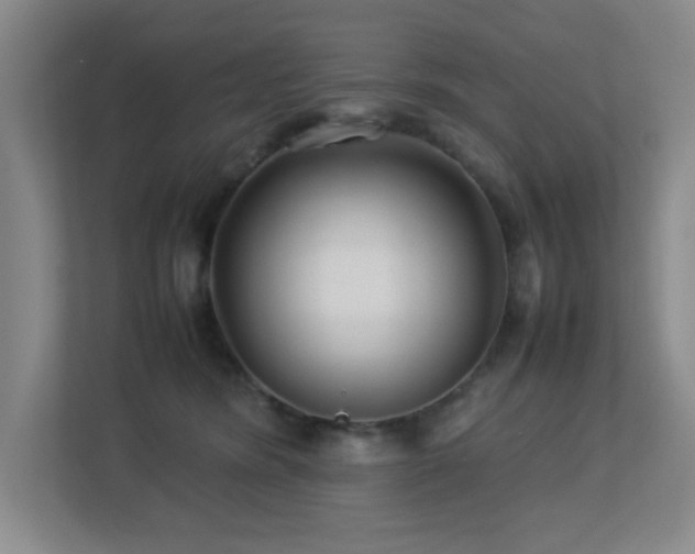 X0000113210420200909101136