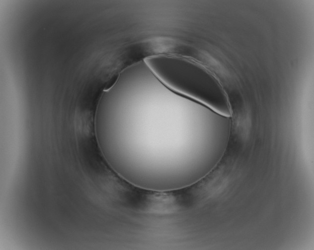 X0000113210421200909101136