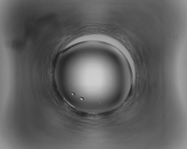 X0000113210423200909101136