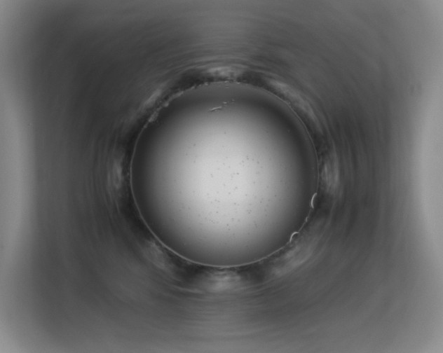 X0000113210424200909101136