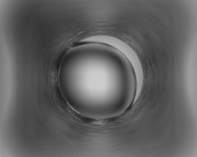 X0000113210425200909101136