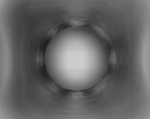 X0000113210426200909101136