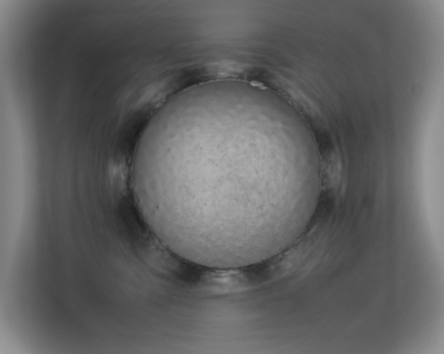 X0000113210427200909101136