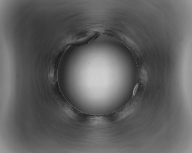 X0000113210428200909101136