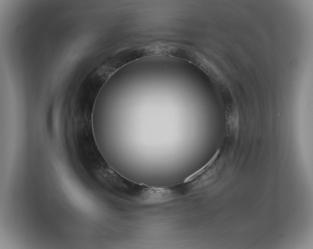 X0000113210429200909101136