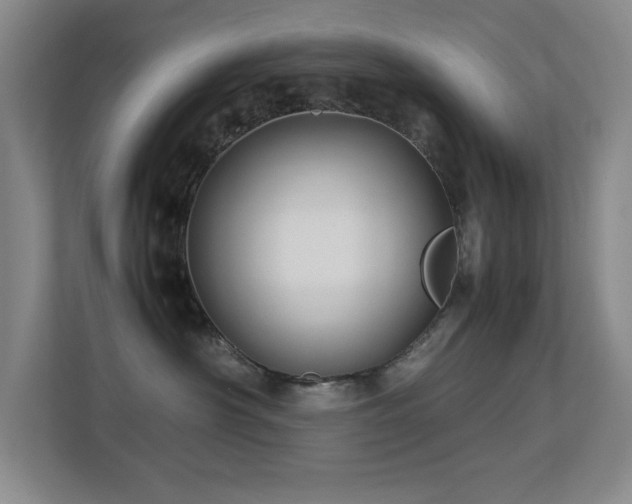 X0000113210430200909101136