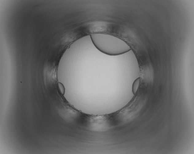 X0000113210431200909101136