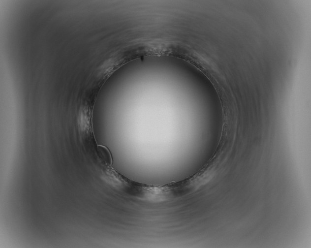 X0000113210432200909101136