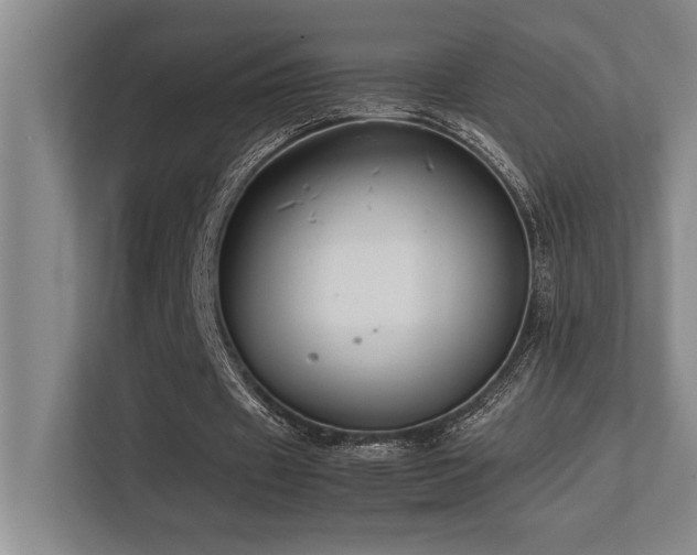 X0000113210433200909101135