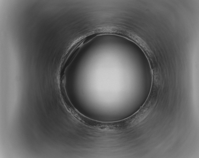 X0000113210434200909101135