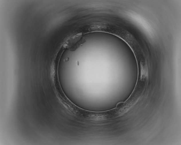 X0000113210435200909101135