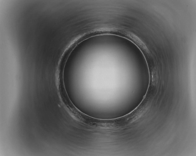 X0000113210436200909101135