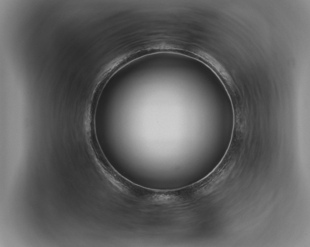 X0000113210437200909101135