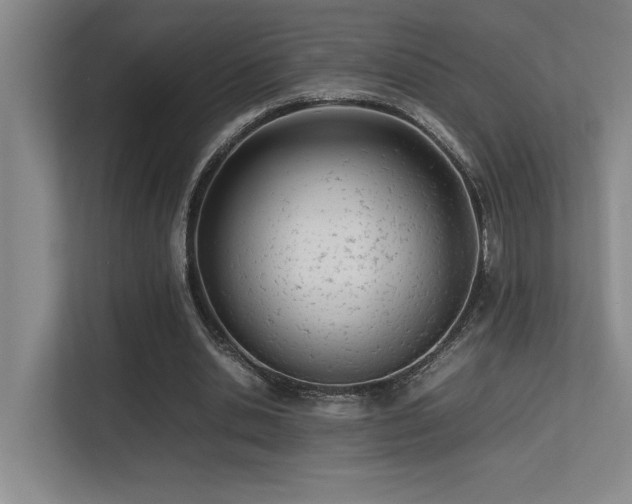 X0000113210438200909101135