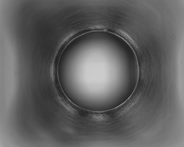 X0000113210439200909101135