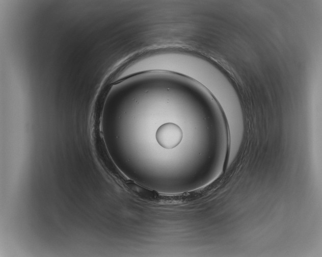 X0000113210440200909101135