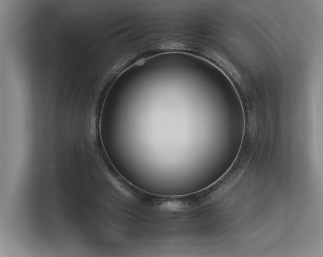 X0000113210441200909101135