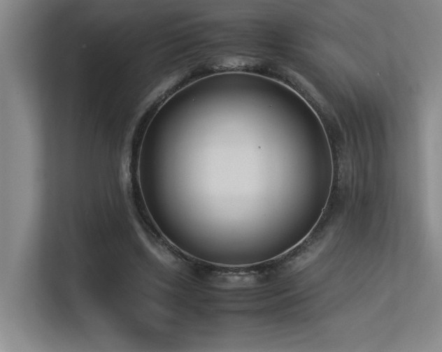 X0000113210443200909101135