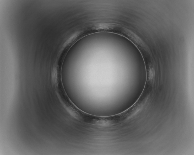 X0000113210444200909101135