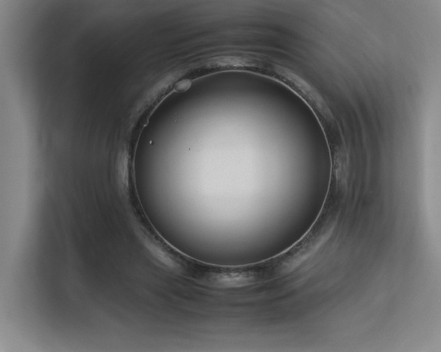 X0000113210445200909101135