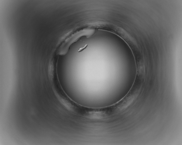 X0000113210448200909101135