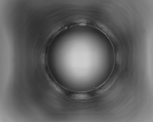 X0000113210449200909101135