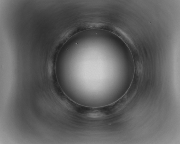 X0000113210451200909101135