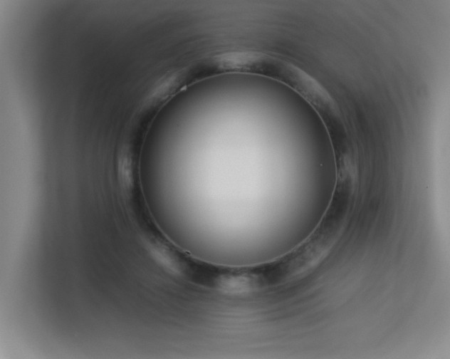 X0000113210452200909101135