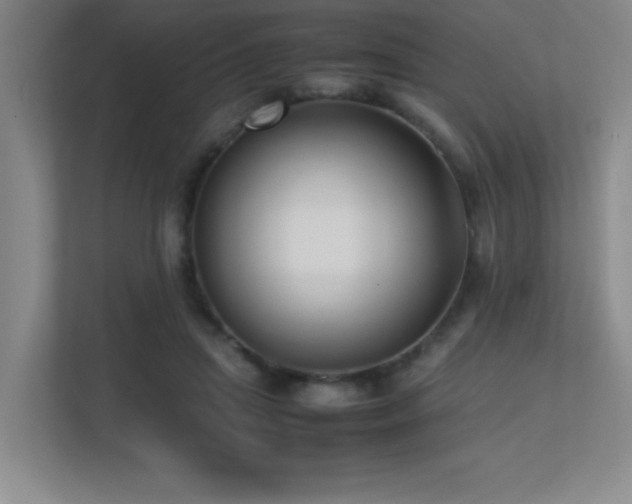 X0000113210455200909101135