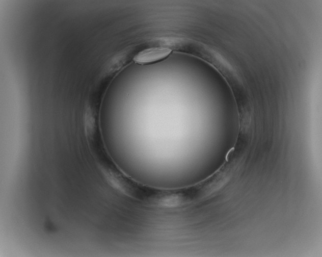 X0000113210456200909101135