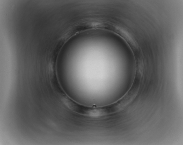 X0000113210461200909101135