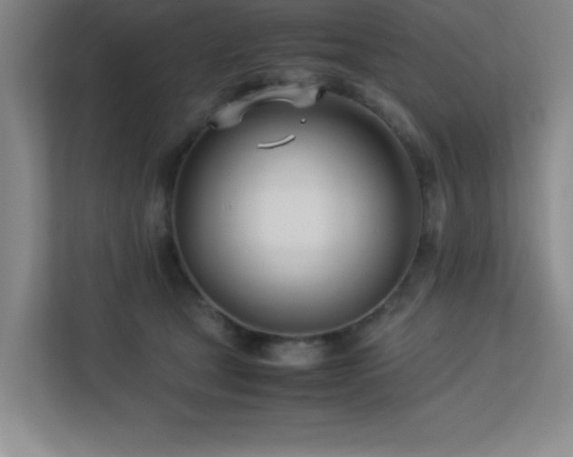 X0000113210465200909101135