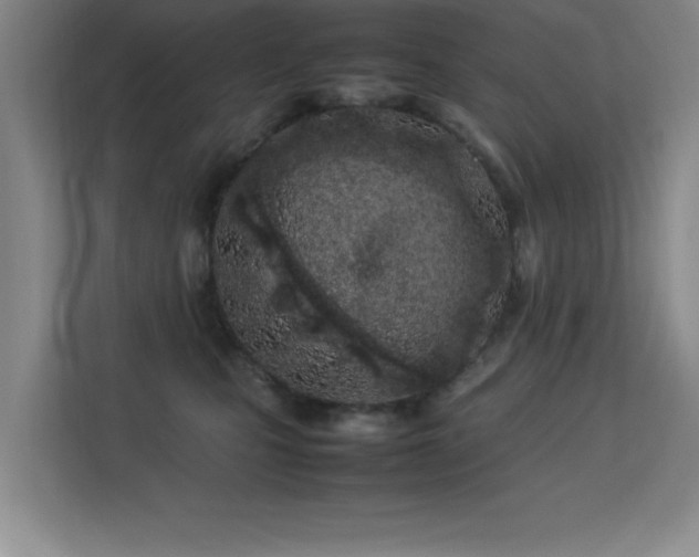 X0000113210471200909101136