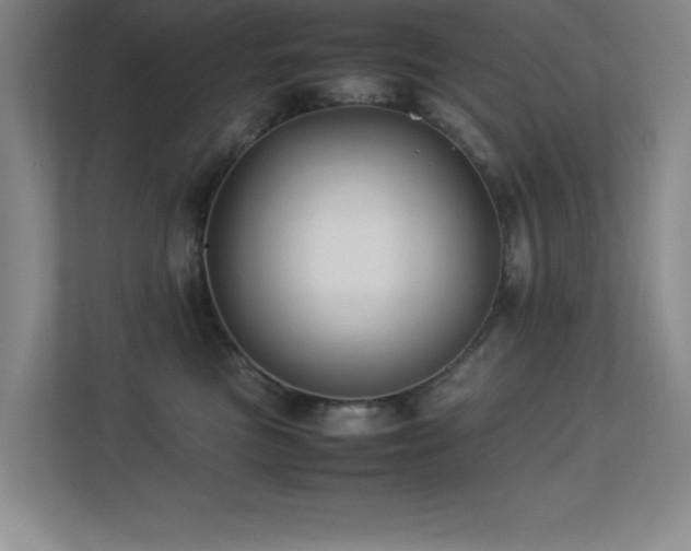 X0000113210473200909101136