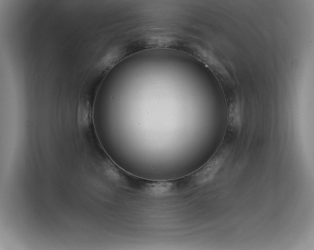 X0000113210474200909101136