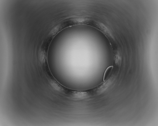 X0000113210476200909101136