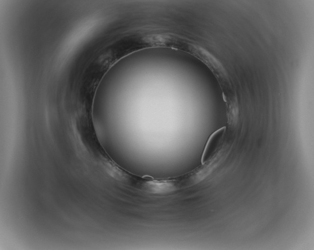 X0000113210477200909101136