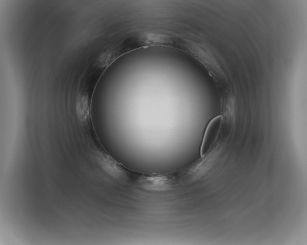 X0000113210478200909101136