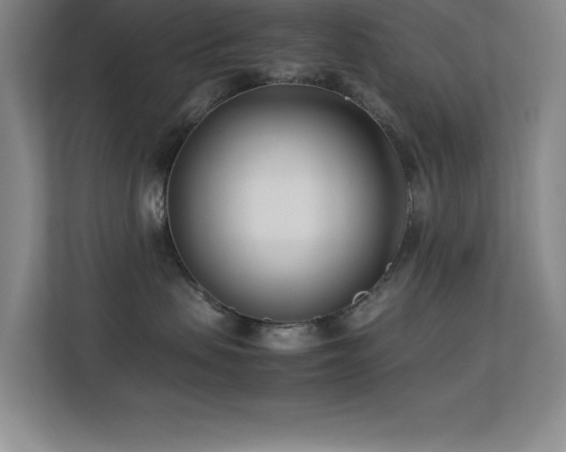 X0000113210479200909101136