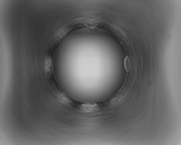 X0000113210480200909101136